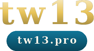 tw13 logo